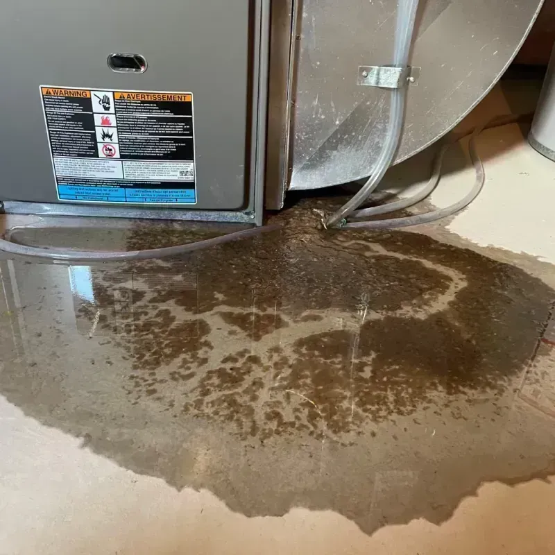 Appliance Leak Cleanup in Cambrian Park, CA